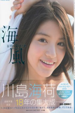 精准灌溉系统NPC小说